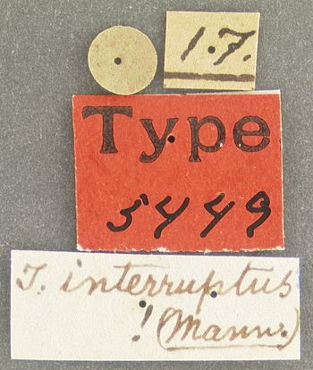 Media type: image;   Entomology 5449 Aspect: labels